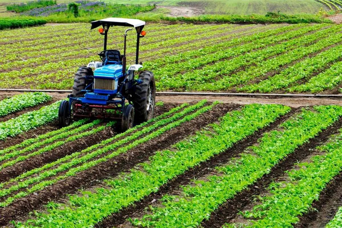 Prvi zvanični izveštaj o cenama poljoprivrednog zemljišta u Srbiji u skladu sa standardima Evropske unije